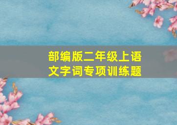 部编版二年级上语文字词专项训练题