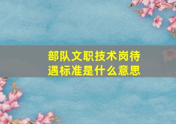 部队文职技术岗待遇标准是什么意思