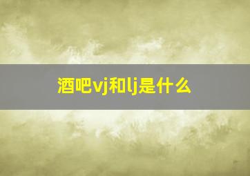 酒吧vj和lj是什么