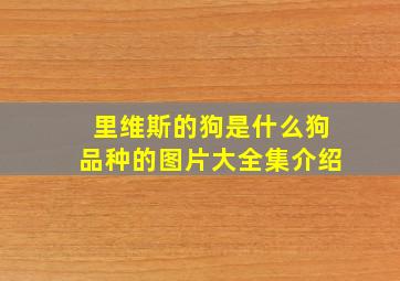 里维斯的狗是什么狗品种的图片大全集介绍