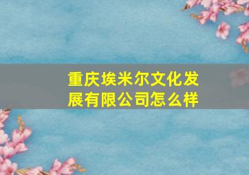 重庆埃米尔文化发展有限公司怎么样