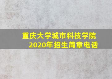 重庆大学城市科技学院2020年招生简章电话