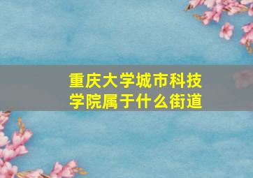 重庆大学城市科技学院属于什么街道