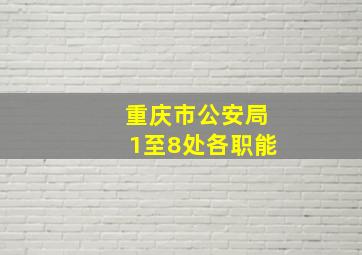 重庆市公安局1至8处各职能