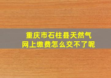 重庆市石柱县天然气网上缴费怎么交不了呢