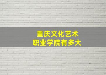 重庆文化艺术职业学院有多大