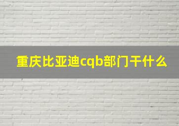 重庆比亚迪cqb部门干什么