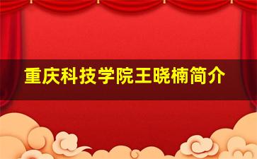 重庆科技学院王晓楠简介