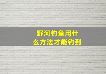 野河钓鱼用什么方法才能钓到