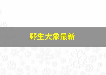 野生大象最新