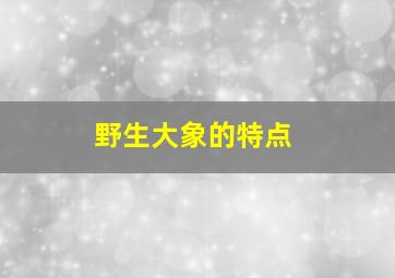 野生大象的特点