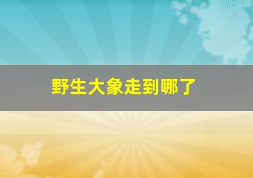 野生大象走到哪了