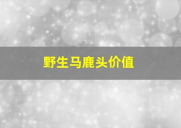 野生马鹿头价值