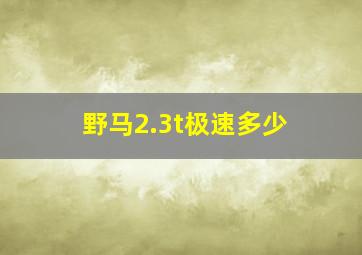 野马2.3t极速多少