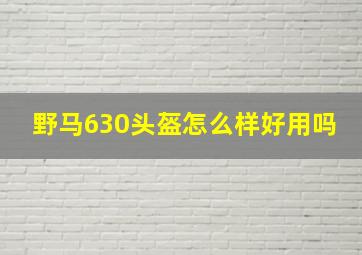 野马630头盔怎么样好用吗