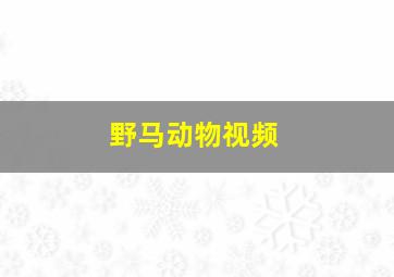 野马动物视频