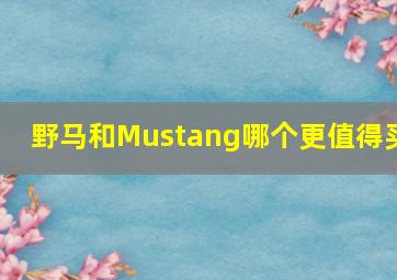 野马和Mustang哪个更值得买