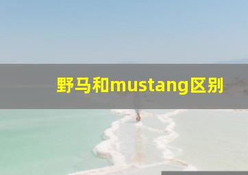 野马和mustang区别