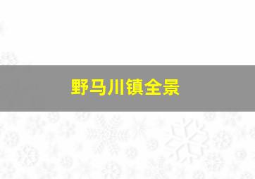 野马川镇全景