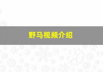 野马视频介绍