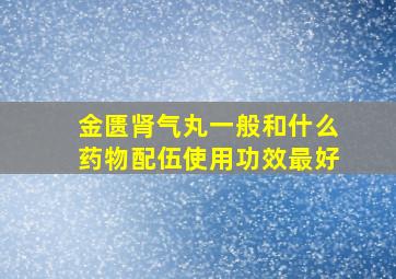 金匮肾气丸一般和什么药物配伍使用功效最好