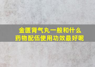 金匮肾气丸一般和什么药物配伍使用功效最好呢