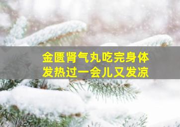 金匮肾气丸吃完身体发热过一会儿又发凉