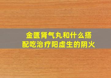 金匮肾气丸和什么搭配吃治疗阳虚生的阴火