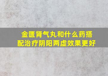 金匮肾气丸和什么药搭配治疗阴阳两虚效果更好