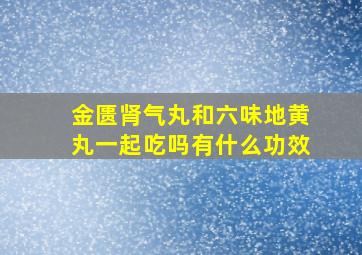 金匮肾气丸和六味地黄丸一起吃吗有什么功效