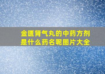 金匮肾气丸的中药方剂是什么药名呢图片大全