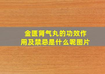 金匮肾气丸的功效作用及禁忌是什么呢图片