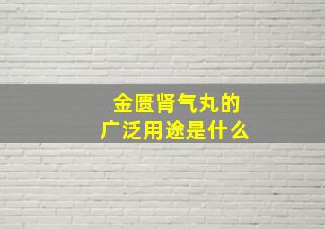 金匮肾气丸的广泛用途是什么