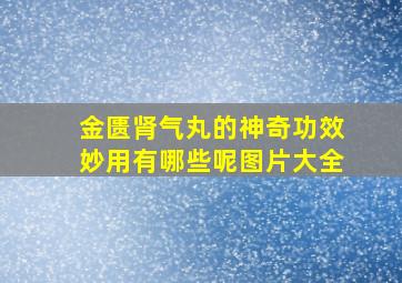 金匮肾气丸的神奇功效妙用有哪些呢图片大全