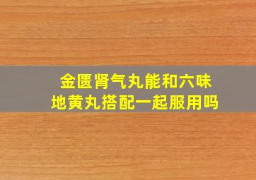 金匮肾气丸能和六味地黄丸搭配一起服用吗