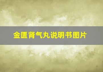 金匮肾气丸说明书图片