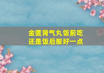 金匮肾气丸饭前吃还是饭后服好一点