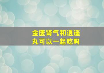 金匮肾气和逍遥丸可以一起吃吗