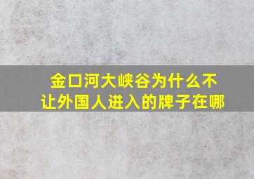 金口河大峡谷为什么不让外国人进入的牌子在哪