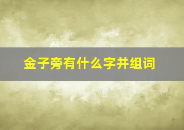 金子旁有什么字并组词