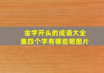 金字开头的成语大全集四个字有哪些呢图片