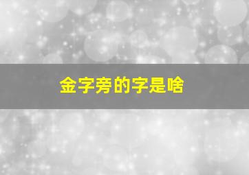 金字旁的字是啥