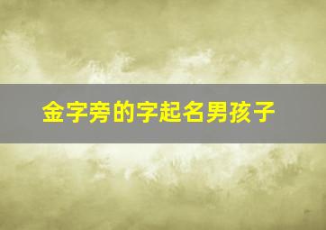 金字旁的字起名男孩子