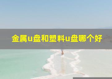 金属u盘和塑料u盘哪个好