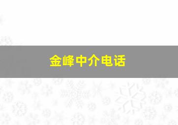 金峰中介电话