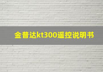 金普达kt300遥控说明书