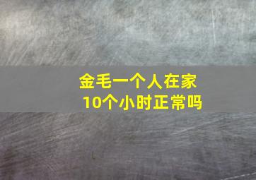 金毛一个人在家10个小时正常吗