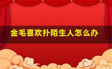 金毛喜欢扑陌生人怎么办