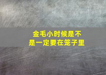 金毛小时候是不是一定要在笼子里