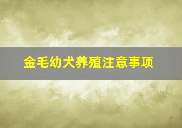 金毛幼犬养殖注意事项